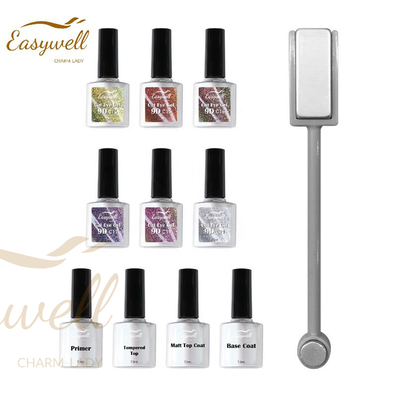 Amazon Hot Sale Magnetic 9D Cat Eye LED Soak Off Gel Polish Glitter Kit OEM ODM Bottle 6 Colors Set Nail Polish UV Gel
